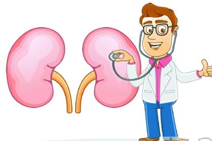 你的腎臟健康嗎？研究表明補(bǔ)硒對腎臟有保護(hù)作用