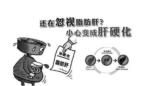 脂肪肝被稱(chēng)為“隱蔽性肝硬化”，適當(dāng)補(bǔ)硒可降低危害性