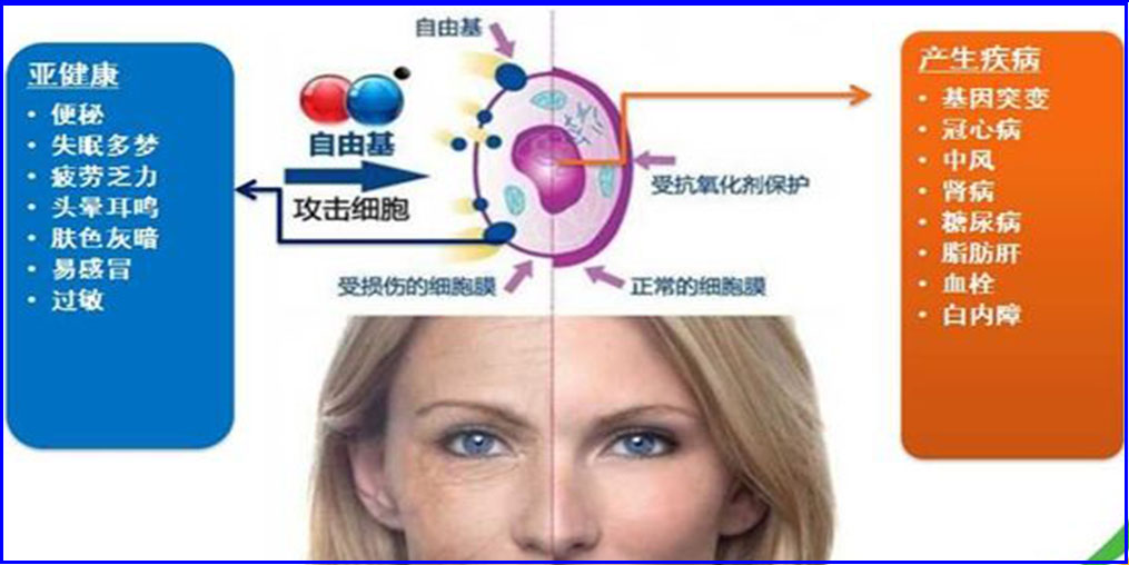自由基是“百病之源”？硒元素可清除自由基