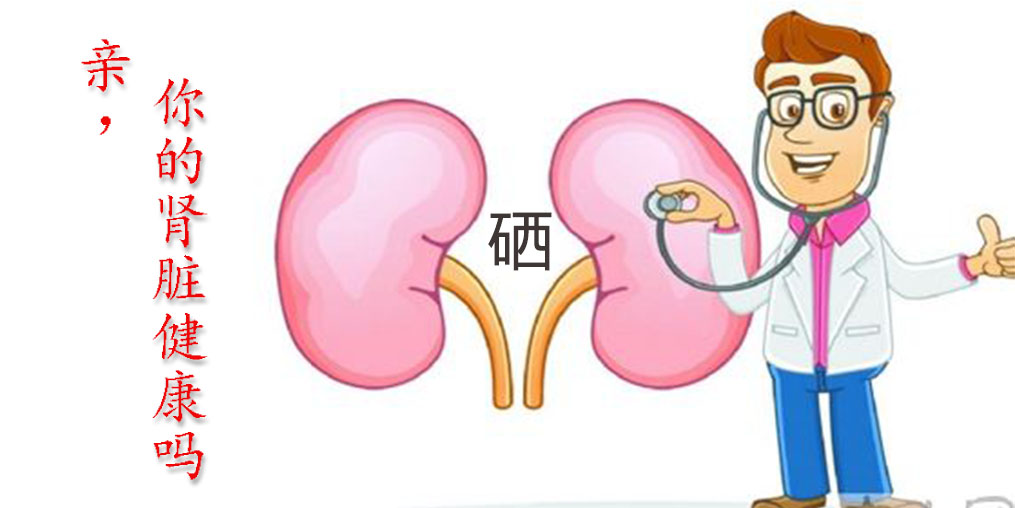 世界腎臟日|關(guān)愛(ài)腎臟健康，從補(bǔ)硒開(kāi)始