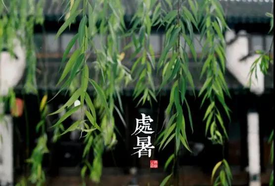 處暑養(yǎng)生小常識，謹(jǐn)記滋陰潤肺防秋燥