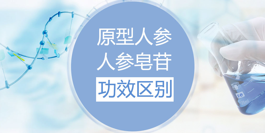 人參和人參皂苷的功效區(qū)別在哪里？