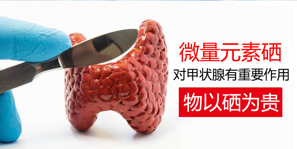 物以“硒”為貴，甲狀腺疾病能適當補硒嗎？