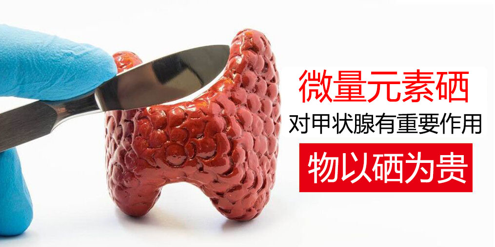 物以“硒”為貴，甲狀腺疾病能適當(dāng)補硒嗎？