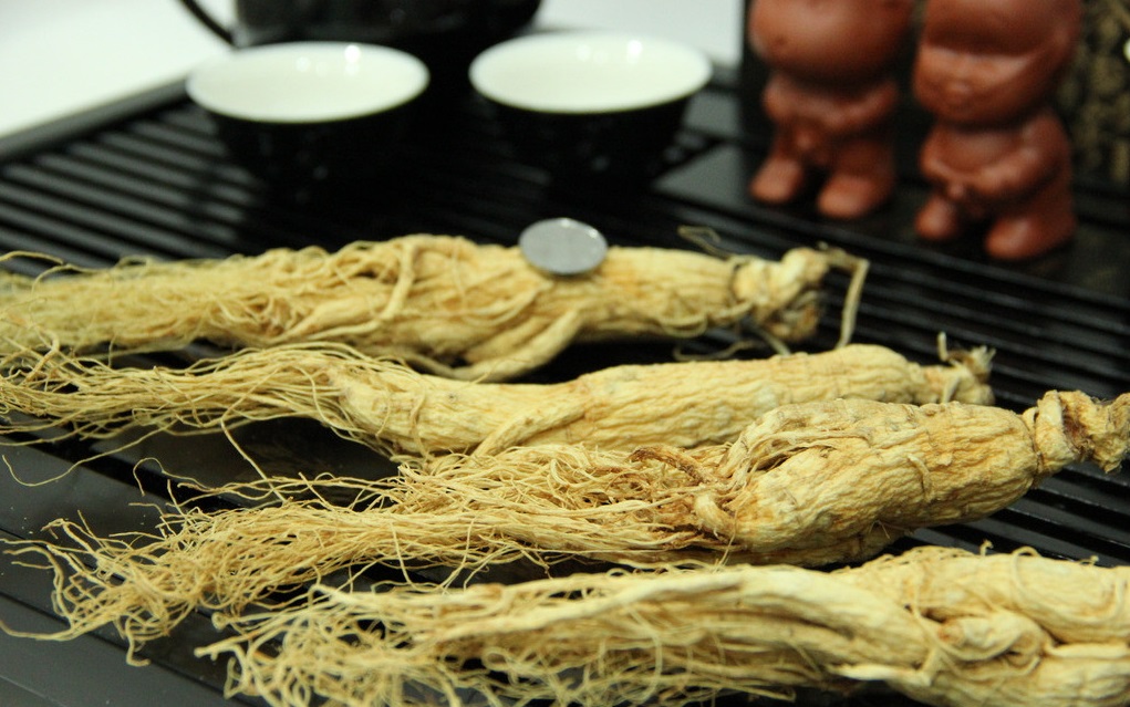什么是人參皂苷？它對人體的健康有哪些功效？