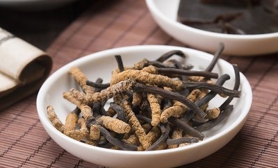 冬天宜進(jìn)補(bǔ)冬蟲夏草，看看它都有什么好