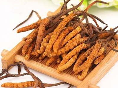 蟲草素？冬蟲夏草里的蟲草素是什么？