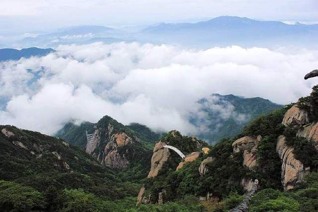 大別山的靈芝孢子粉為什么好？