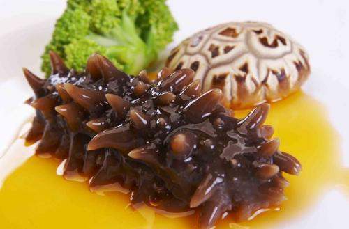 關(guān)于海參的冷知識(shí)，您知道嗎？