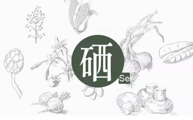 硒——為何被稱(chēng)為生命火種？